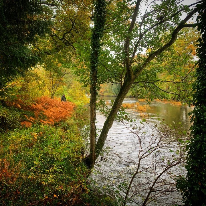 Autumn colours on the Irfon